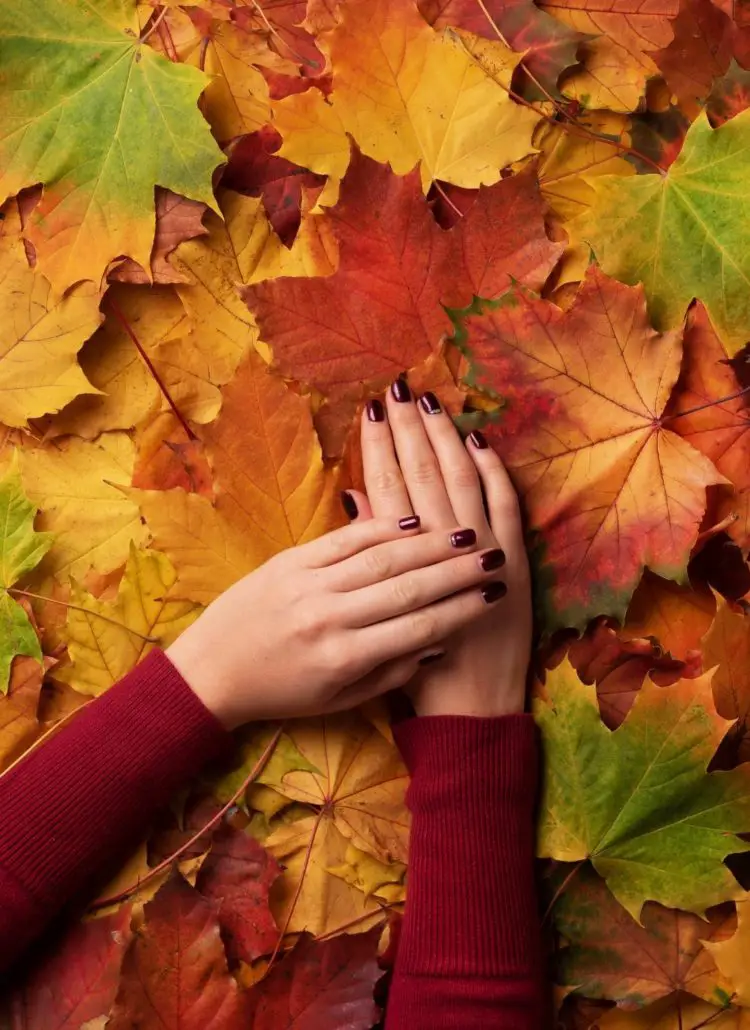 40 Best Autumn Fall Nail Designs You’ll Obsess Over 